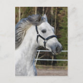 Andalusien 1 postkarte (Vorderseite)