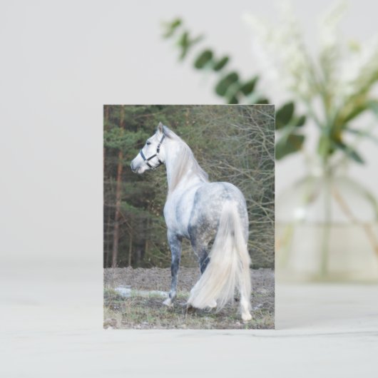 Andalusien 2 postkarte (Stehend Vorderseite)