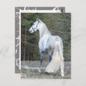 Andalusien 2 postkarte (Vorne/Hinten)