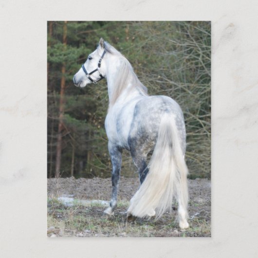 Andalusien 2 postkarte (Vorderseite)