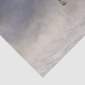 Andalusien Dapple Gray Horse Seidenpapier (Detail)
