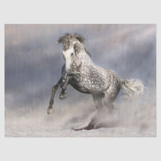 Andalusien Dapple Gray Horse Seidenpapier (Vorderseite)