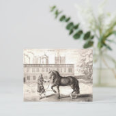 Andalusien - Das Vintage Reiten Postkarte (Stehend Vorderseite)
