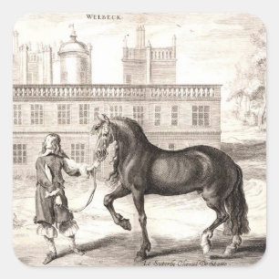 Andalusien - Das Vintage Reiten Quadratischer Aufkleber