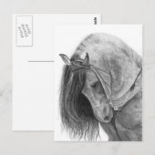 Andalusien Postkarte (Vorne/Hinten)