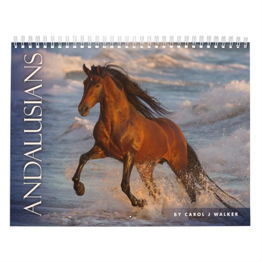 Andalusier von Carol J. Walker Horst Calendar Kalender (Titelbild)