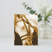 Andalusische Postkarte (Stehend Vorderseite)