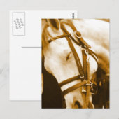 Andalusische Postkarte (Vorne/Hinten)