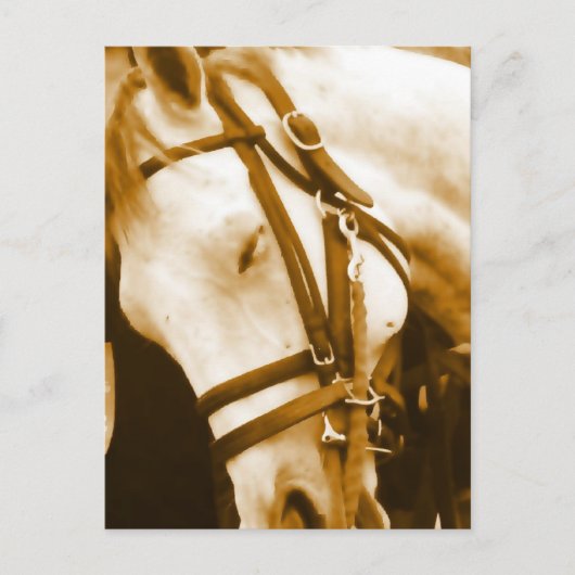 Andalusische Postkarte (Vorderseite)