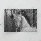 Andalusischer Hengst im Wald - Grußkarte Karte (Innenseite)