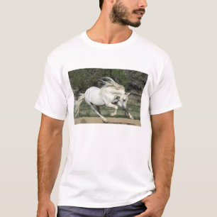Andalusischer Hengst läuft, PR T-Shirt