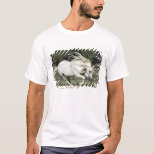Andalusischer Hengst läuft, PR T-Shirt