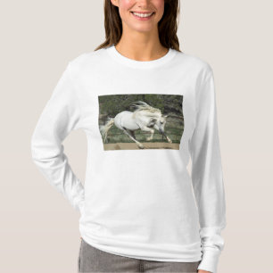 Andalusischer Hengst läuft, PR T-Shirt