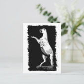 Andalusischer Hengst Postkarte (Stehend Vorderseite)