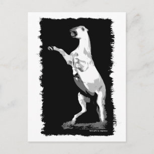 Andalusischer Hengst Postkarte