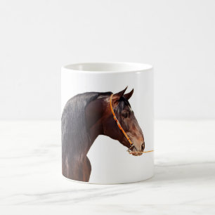 andalusischer Stallion am Weiß Kaffeetasse