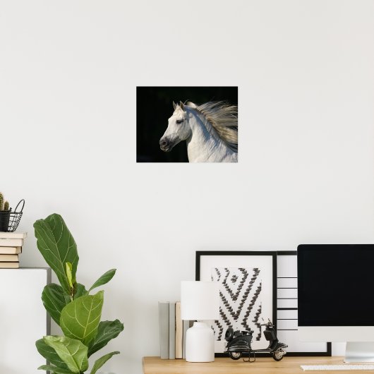 Andalusischer Stallion Headshot Mane Flows Poster (Heimbüro)