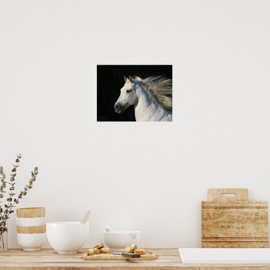 Andalusischer Stallion Headshot Mane Flows Poster (Küche)