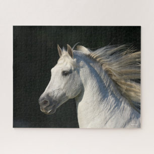 Andalusischer Stallion Headshot Mane Flows Puzzle