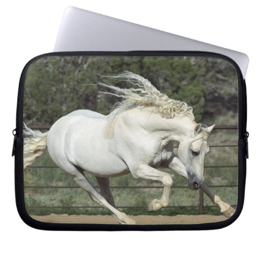 Andalusischer Stallion, Lauf, PR Laptopschutzhülle (Vorderseite)