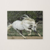 Andalusischer Stallion, Lauf, PR Puzzle (Horizontal)