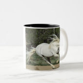 Andalusischer Stallion, Lauf, PR Zweifarbige Tasse (VorderseiteRechts)