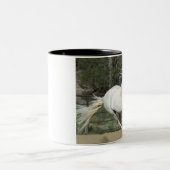 Andalusischer Stallion, Lauf, PR Zweifarbige Tasse (Mittel)