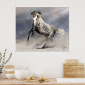 Andalusisches Apfelpferd Poster (Küche)