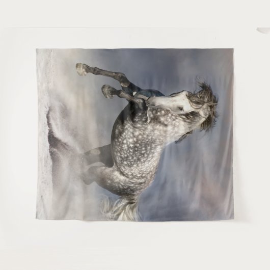 Andalusisches Apfelpferd Wandteppich (Vorderseite (Horizontal))