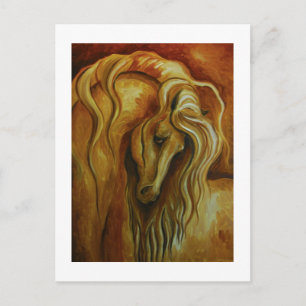 Andalusisches Pferd 10 Postkarte