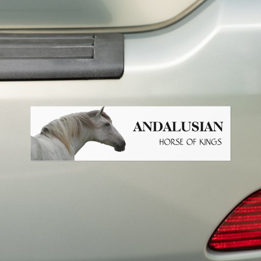 ANDALUSISCHES PFERD 2 AUTOAUFKLEBER (Auf Auto)