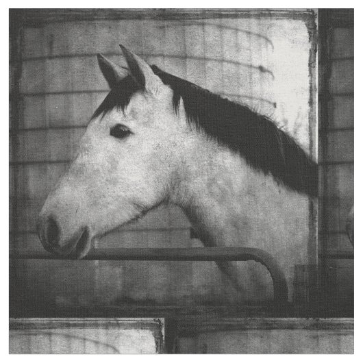 Andalusisches Pferd Stoff (Nahaufnahme)