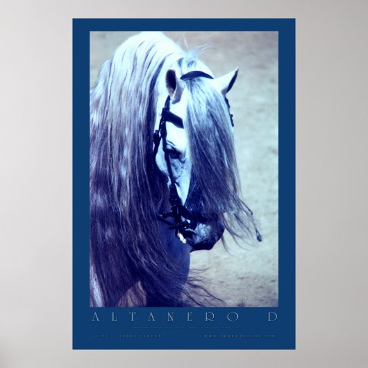 andalusisches Poster (Vorne)