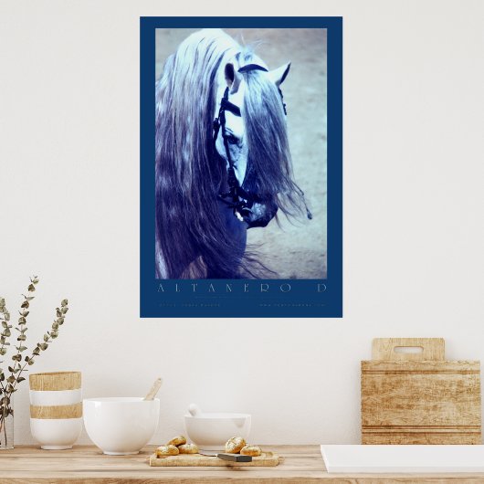 andalusisches Poster (Küche)