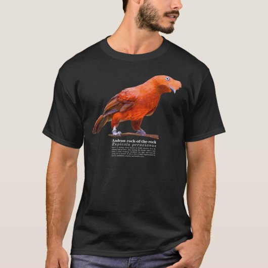 Andean cock-of-the-rock bird on the rocks Classic T-Shirt (Vorderseite)