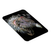Andean Condor Male Magnet (Rechte Seite)