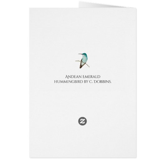 Andean Emerald Hummingbird (Hinten)