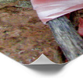 Andean Man/Poster Poster (Ecke)