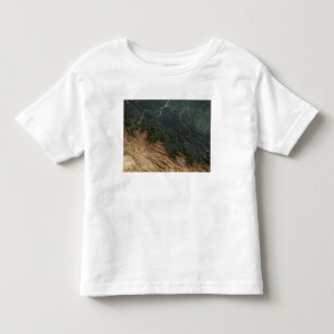 Anden-Berge Kleinkind T-shirt