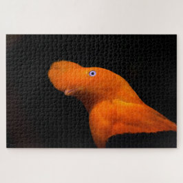 Anden-Cock-of-the-Rock Puzzle