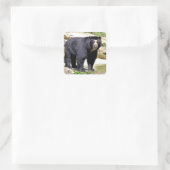 Andenbär Quadratischer Aufkleber (Tasche)