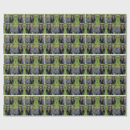 Andenbär schließen geschenkpapier (Flach)