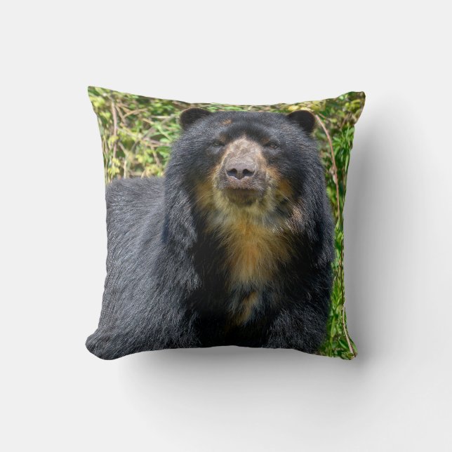 Andenbär schließen kissen (Vorderseite)