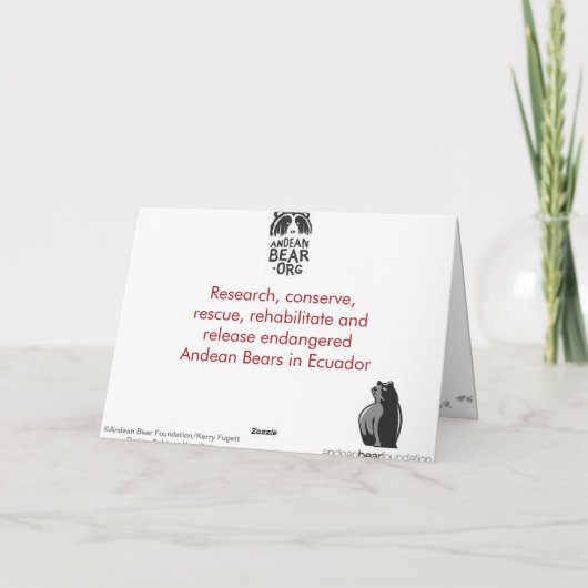 Andenbär Weihnachten 2011 (Rückseite)