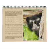 Andenbären 2012 - 15 Monate Kalender (Rückseite)