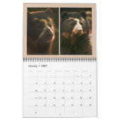 Andenbären 2012 - 15 Monate Kalender (Jan 2027)