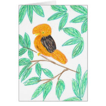 AndencockOfTheRock (Rupicola peruvianus)