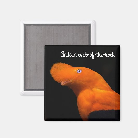 Andenhahn Magnet (Vorderseite/Rückseite)