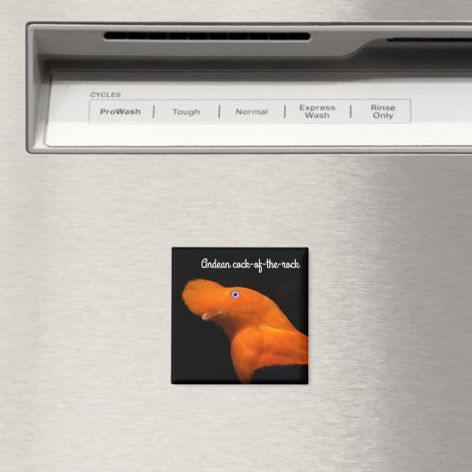 Andenhahn Magnet (In Situ (Geschirrspüler))