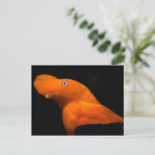 Andenhahn Postkarte (Stehend Vorderseite)